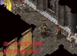 ��ʿ�뱦�����Ĭ�������ʤս����