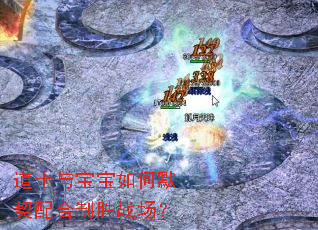 ��ʿ�뱦�����Ĭ�������ʤս����