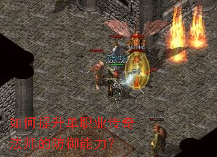 ���������ְҵ���淨ʦ�ķ���������