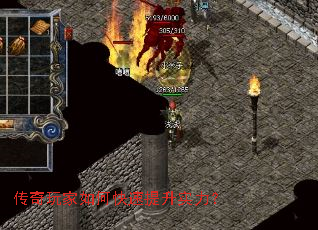 ���������ο�������ʵ����