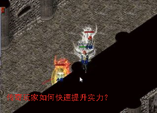 ���������ο�������ʵ����