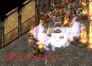 ���������ο�������ʵ����