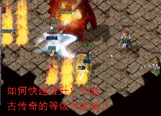 ��ο�������1.76���Ŵ���ĵȼ���װ����