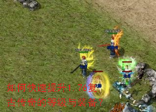 ��ο�������1.76���Ŵ���ĵȼ���װ����