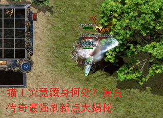 è�����������δ������Ŵ�����ǿˢ�µ�����