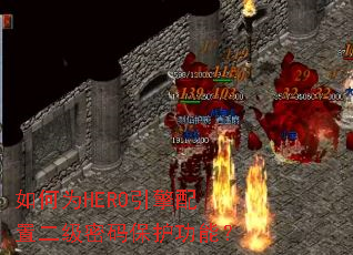 ���ΪHERO�������ö������뱣�����ܣ�