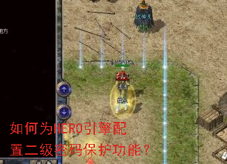 ���ΪHERO�������ö������뱣�����ܣ�