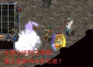 ���ΪHERO�������ö������뱣�����ܣ�