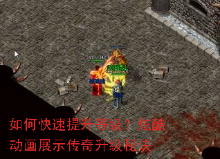 ��ο��������ȼ����ſᶯ��չʾ���������ؾ�