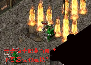 �����ʿְҵ����Щ���ݺ��ӵĶ̰壿