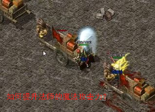 ���������ʦ��ħ����������