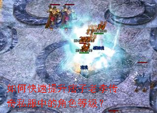 ��ο�������Ʀ�������˽���еĽ�ɫ�ȼ���