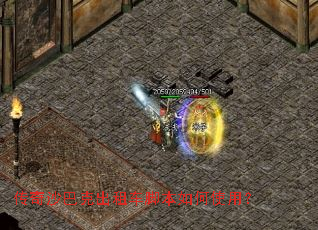 ����ɳ�Ϳ˳��⳵�ű����ʹ�ã�