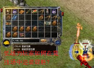 ��ս���������ھ���������Ϯȡʤ��