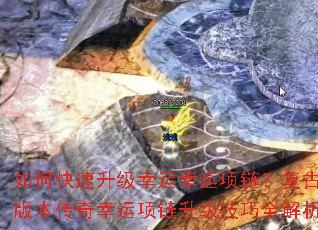 ��ο������������������������Ű汾��������������������ȫ����