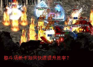 格斗场新手如何快速提升胜率? 格斗场新手如何快速提升胜率?