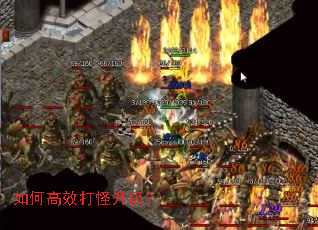 ��θ�Ч���������