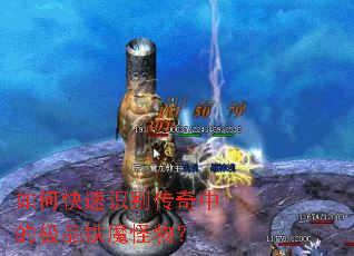 ��ο���ʶ�����еļ�Ʒ��ħ���