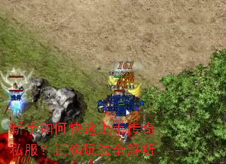 ������ο������ִ���˽������ȷ�淨ȫ����