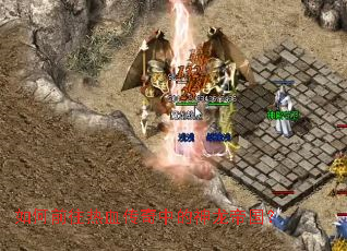 ���ǰ����Ѫ�����е������۹���