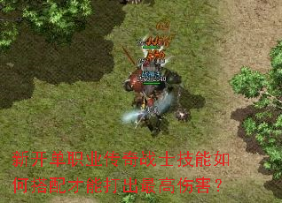 �¿���ְҵ����սʿ������δ�����ܴ������˺���