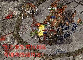 ��֮������ָ��������Щ������;��