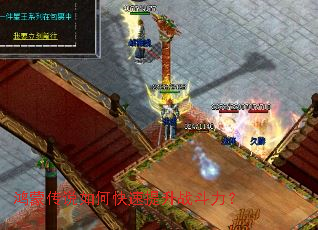 ���ɴ�˵��ο�������ս������