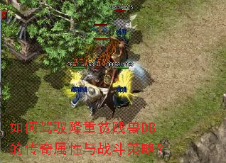 ��μ�Ԧ¡��ƶ����DB�Ĵ���������ս�����ԣ�