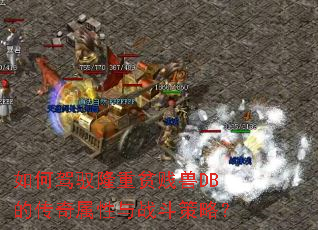 ��μ�Ԧ¡��ƶ����DB�Ĵ���������ս�����ԣ�