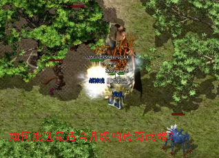 �����ѡ���ʺ������Ĵ���������