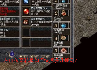 ��Ѫ����˽����ο��������ȼ���