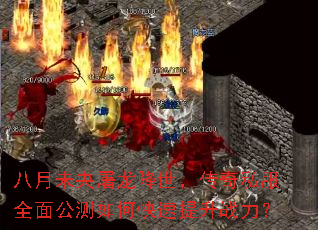 ����δ����������������˽��ȫ�湫����ο�������ս����