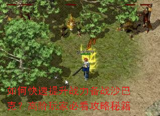 如何快速提升战力备战沙巴克?高阶玩家必看攻略秘籍 如何快速提升战力备战沙巴克?高阶玩家必看攻略秘籍