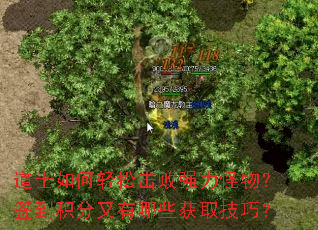 ��ʿ������ɻ���ǿ�����ǩ������������Щ��ȡ���ɣ�