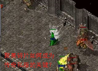 ������Ƭ��γ�Ϊ����˽���Ĺؼ���