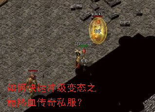 ��ο��ٳ弶��̬֮����Ѫ����˽����