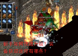 ������ο���������װ����ȡ;������Щ��