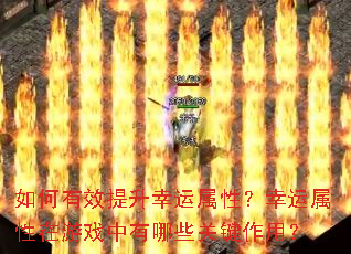 �����Ч�����������ԣ�������������Ϸ������Щ�ؼ����ã�