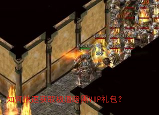 ��ο��ٻ�ȡ��������VIP�����