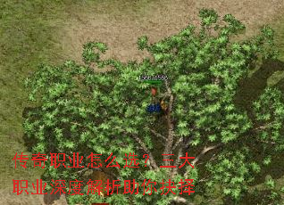 ����ְҵ��ôѡ������ְҵ��Ƚ����������