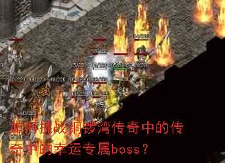 �����սͭ���崫���еĴ����е�����ר��boss��