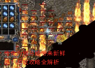 ����Ϊ�����ܴ������ʸУ���Ϸ����ȫ����