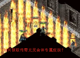 ��λ�ȡ����Ԫ�����ר��Ƥ����