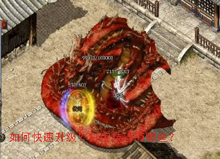 ��ο����������򱦼�������Щ��