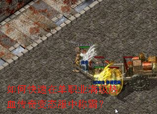 ��ο����ڵ�ְҵ������Ѫ�����̬���гưԣ�