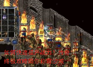 ��ο�������ս���������ռ���������ư�ɳ��