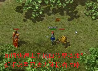 ��ο���������Ѫ����˽�������ֱؿ��귨��½�ưԹ���