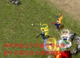 ��ο���������Ѫ����˽�������ֱؿ��귨��½�ưԹ���