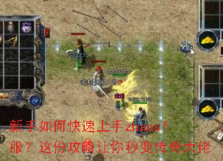 新手如何快速上手zhaosf服?这份攻略让你秒变传奇大佬 新手如何快速上手zhaosf服?这份攻略让你秒变传奇大佬