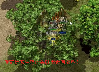 传奇玩家生存的关键因素有哪些? 传奇玩家生存的关键因素有哪些?